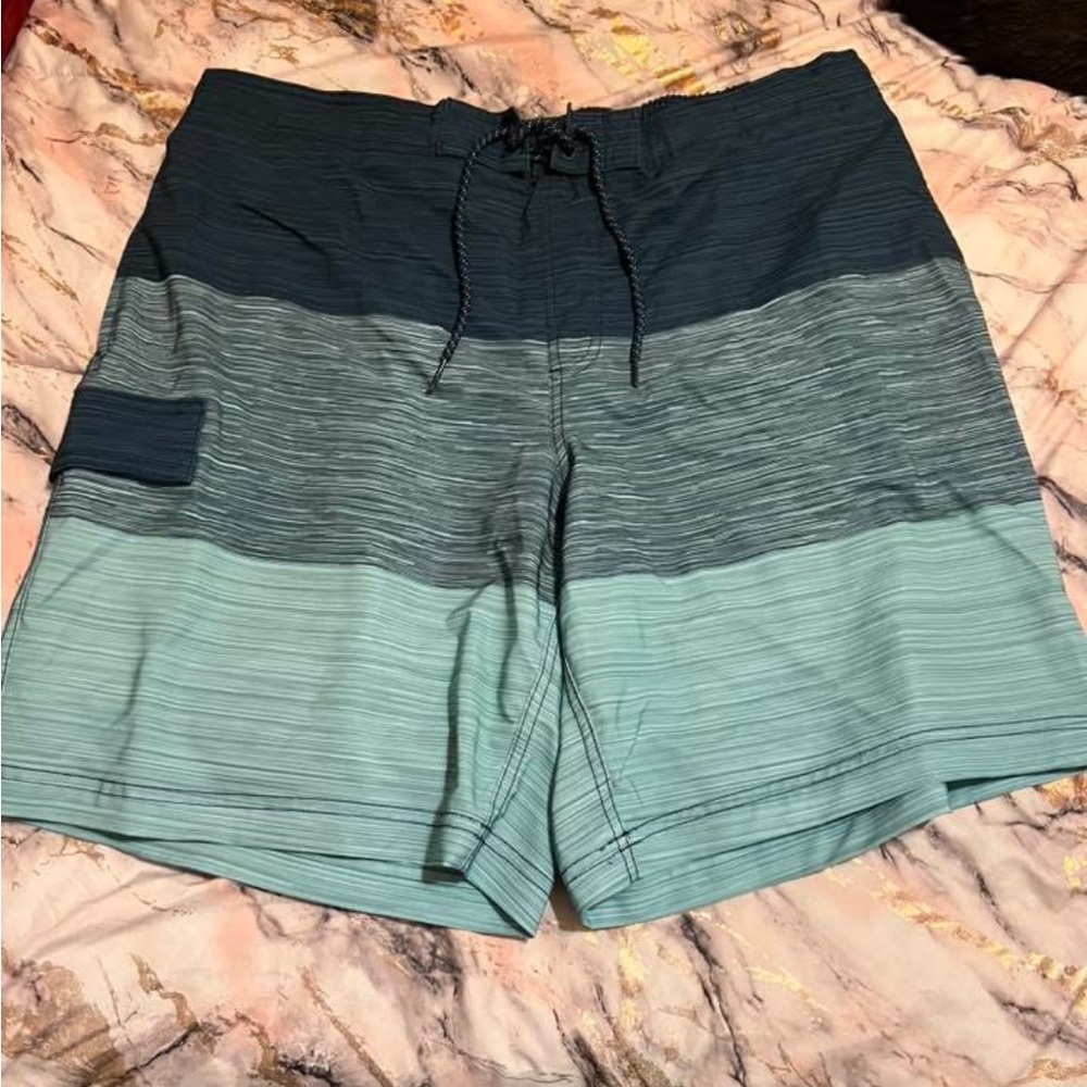 Men's Blue Striped Swim Shorts